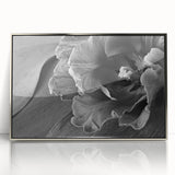Monochrome Tulip Bloom - Fine Art Photography Framed Prints