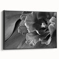 Monochrome Tulip Bloom - Fine Art Photography Framed Prints