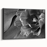 Monochrome Tulip Bloom - Fine Art Photography Framed Prints