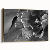 Monochrome Tulip Bloom - Fine Art Photography Framed Prints