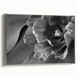 Monochrome Tulip Bloom - Fine Art Photography Framed Prints