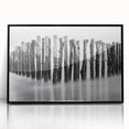 Misty Wooden Posts - Fine Art Photography Canvas Prints