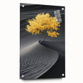 Golden Tree in Black Desert – Tree Art Prints & Nature Wall Art