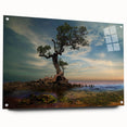 Solitary Coastal Tree - Fine Art Photography Wall Decor