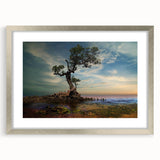 Solitary Coastal Tree - Fine Art Photography Wall Decor