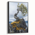 Resilient Bonsai Tree – Forest Art Prints & Nature Wall Art