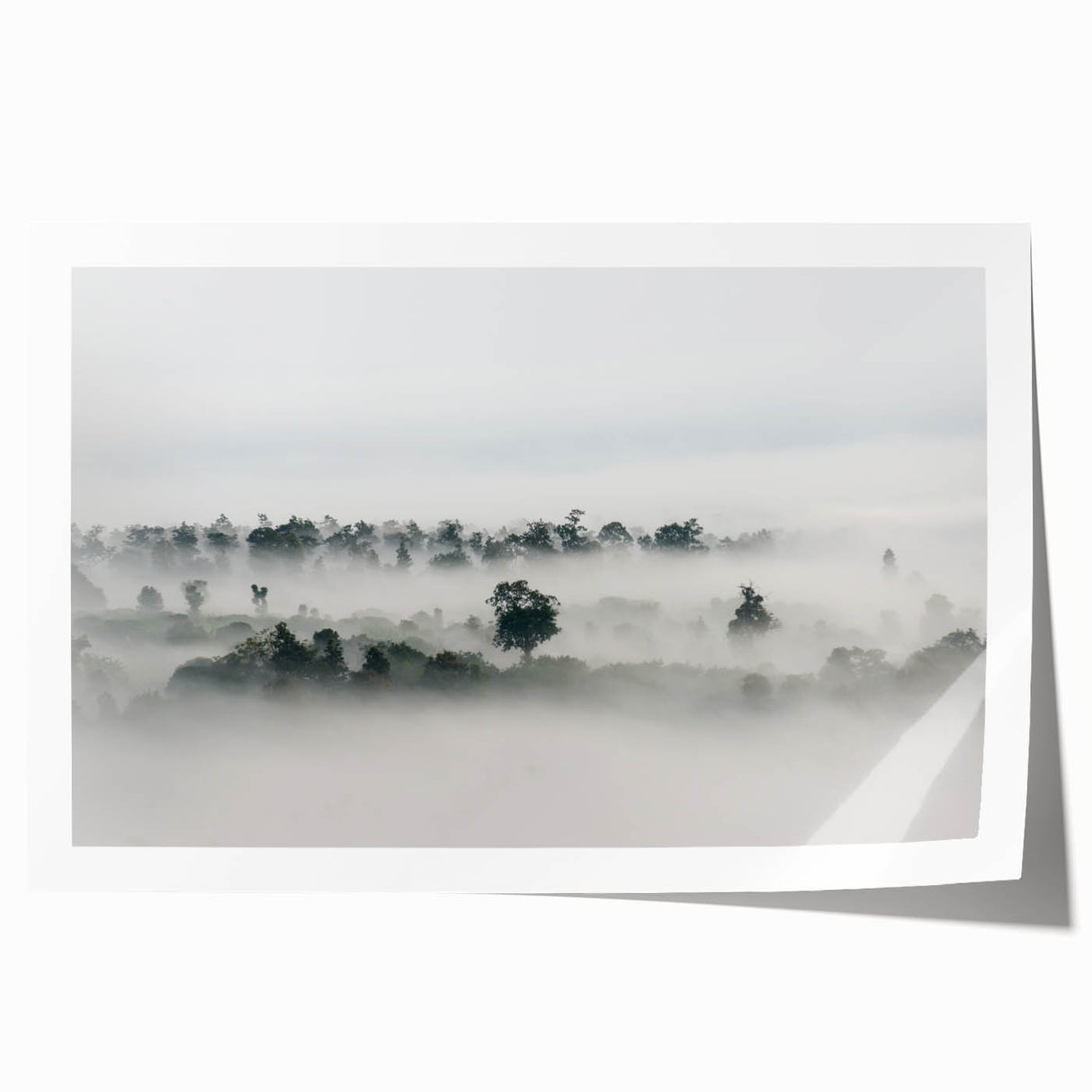 Mystical Foggy Forest - Fine Art Photography Wall Decor