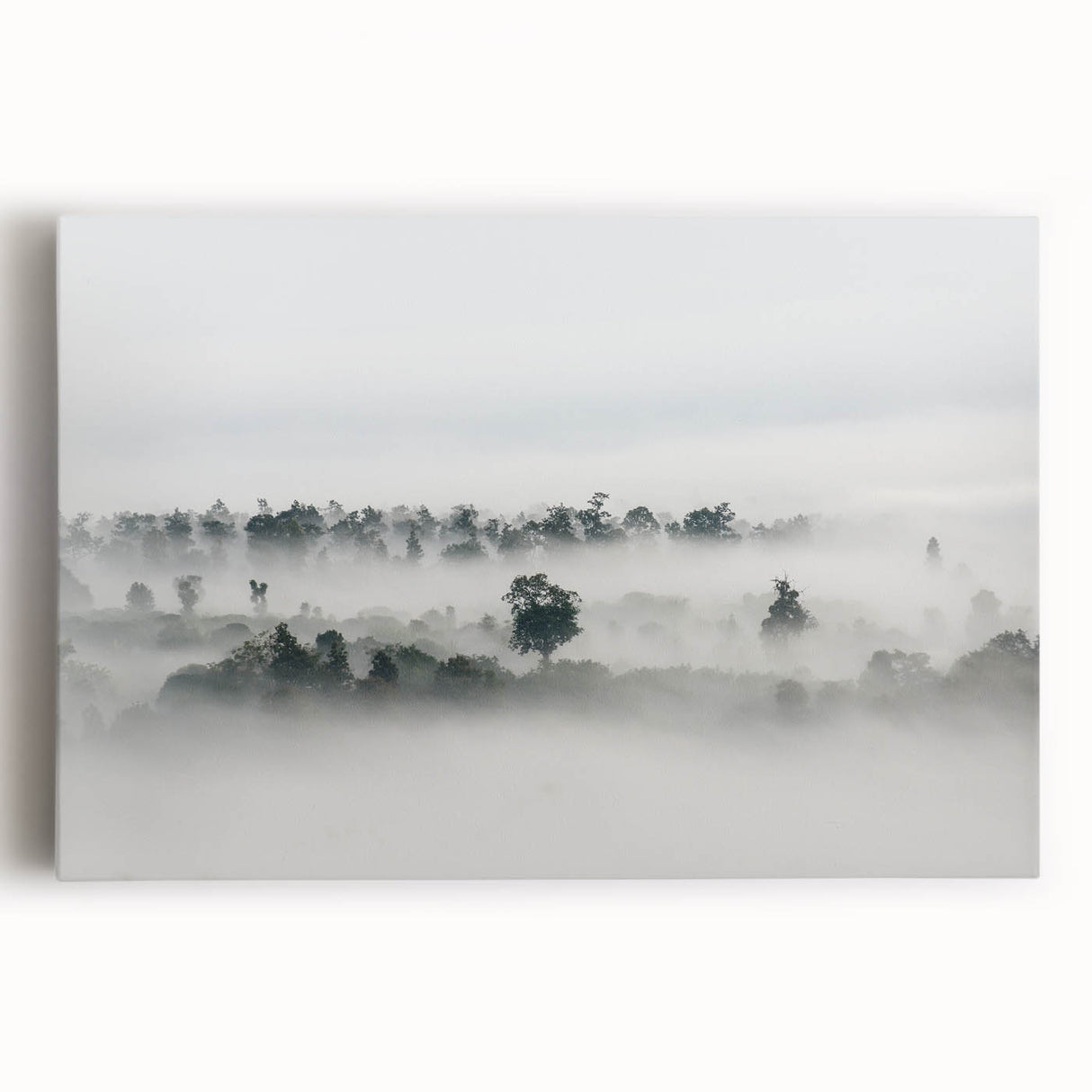 Mystical Foggy Forest - Fine Art Photography Wall Decor