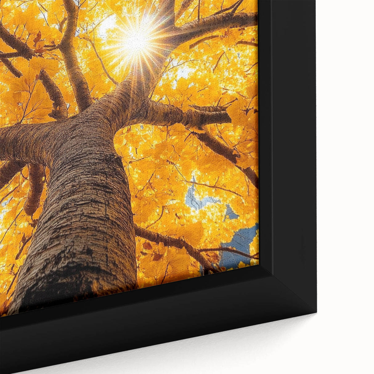 Golden Canopy – Tree Art Prints & Nature-Inspired Wall Decor