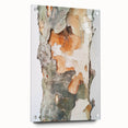 Textured Tree Bark – Abstract Nature Wall Art & Botanical Prints