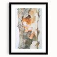 Textured Tree Bark – Abstract Nature Wall Art & Botanical Prints
