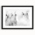 Wild Horses in Motion - Black & White Fine Art Photography