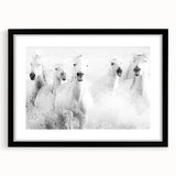 Wild Horses in Motion - Black & White Fine Art Photography