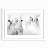 Wild Horses in Motion - Black & White Fine Art Photography
