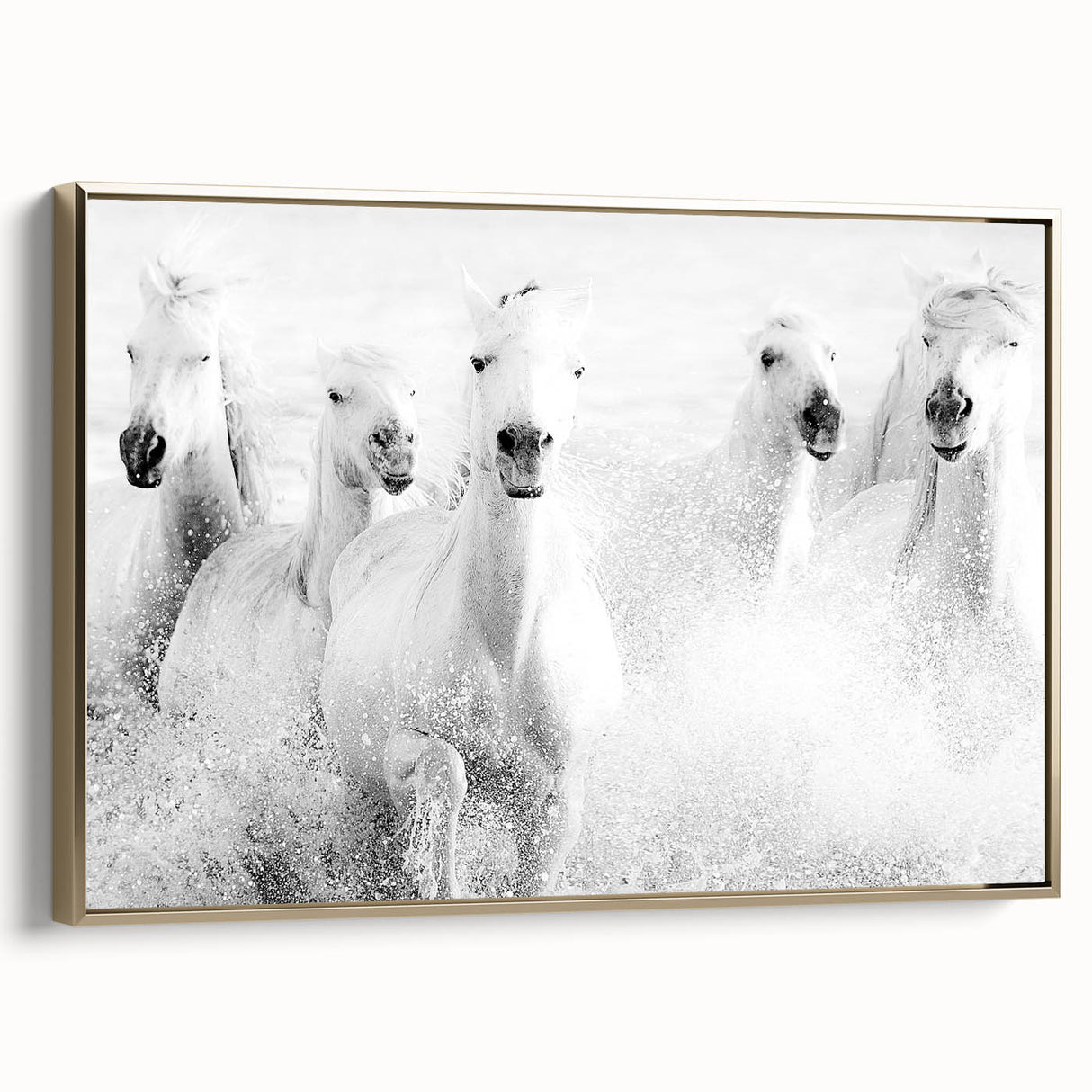 Wild Horses in Motion - Black & White Fine Art Photography