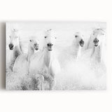 Wild Horses in Motion - Black & White Fine Art Photography