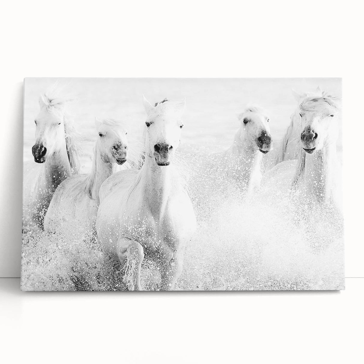 Wild Horses in Motion - Black & White Fine Art Photography