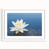 Vibrant close-up of a colorful flower arrangement featuring assorted blooms in shades of pink, yellow, and purple, set against a soft white background, ideal for home decor.