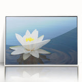 Vibrant close-up of a flower arrangement showcasing vivid pink and white blossoms with lush green foliage against a soft blurred background, perfect for spring decor.