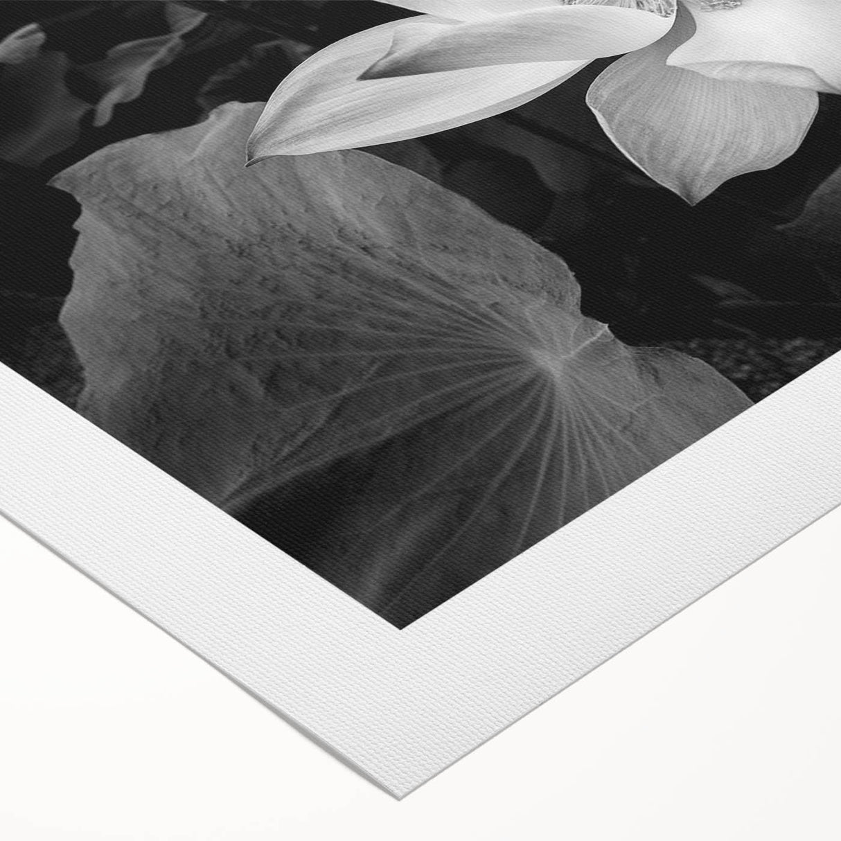 Vibrant floral canvas artwork showcasing a burst of colorful flowers in a lush green setting, perfect for home decor enthusiasts. Ideal for brightening any room.