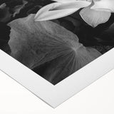Vibrant floral canvas artwork showcasing a burst of colorful flowers in a lush green setting, perfect for home decor enthusiasts. Ideal for brightening any room.
