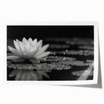 Vibrant close-up of a colorful floral canvas artwork showcasing intricate petal details and rich hues, ideal for enhancing home decor with a natural aesthetic.