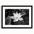 Brightly colored floral canvas print showcasing intricate details of blooming flowers in vibrant hues, ideal for home decor or artistic inspiration. Perfect for adding a touch of nature to any space.