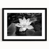 Brightly colored floral canvas print showcasing intricate details of blooming flowers in vibrant hues, ideal for home decor or artistic inspiration. Perfect for adding a touch of nature to any space.