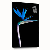 Vibrant floral artwork displayed on a stretched canvas, showcasing intricate details and vivid colors, ideal for home décor or art enthusiasts seeking a nature-inspired touch.