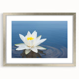 Vibrant floral canvas print showcasing a colorful arrangement of blooming flowers in a variety of hues, ideal for home decor and enhancing interior aesthetics.