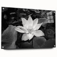 Vibrant floral wall art print showcasing a colorful array of blooming flowers against a soft background, perfect for home decor or office settings.