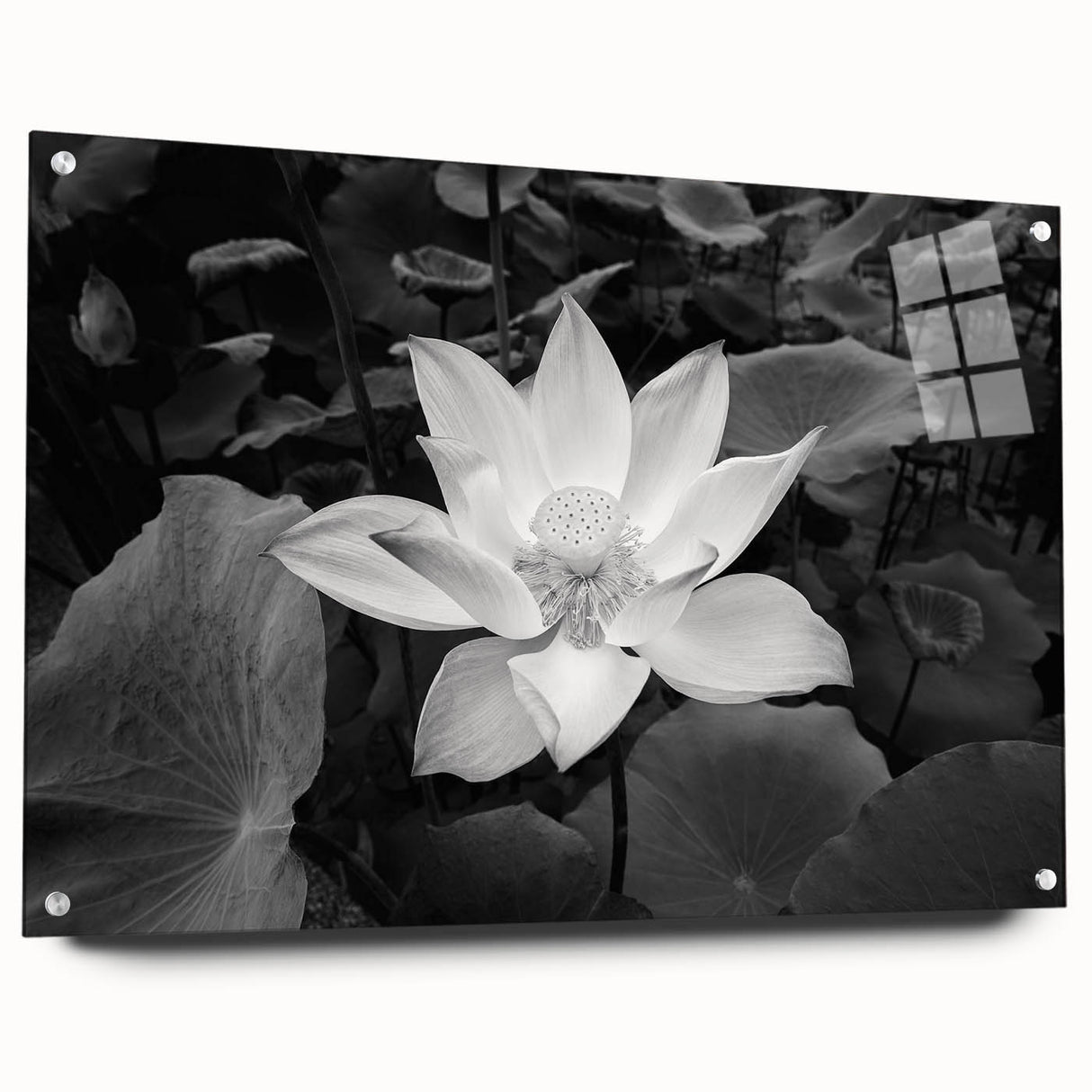 Vibrant floral wall art print showcasing a colorful array of blooming flowers against a soft background, perfect for home decor or office settings.