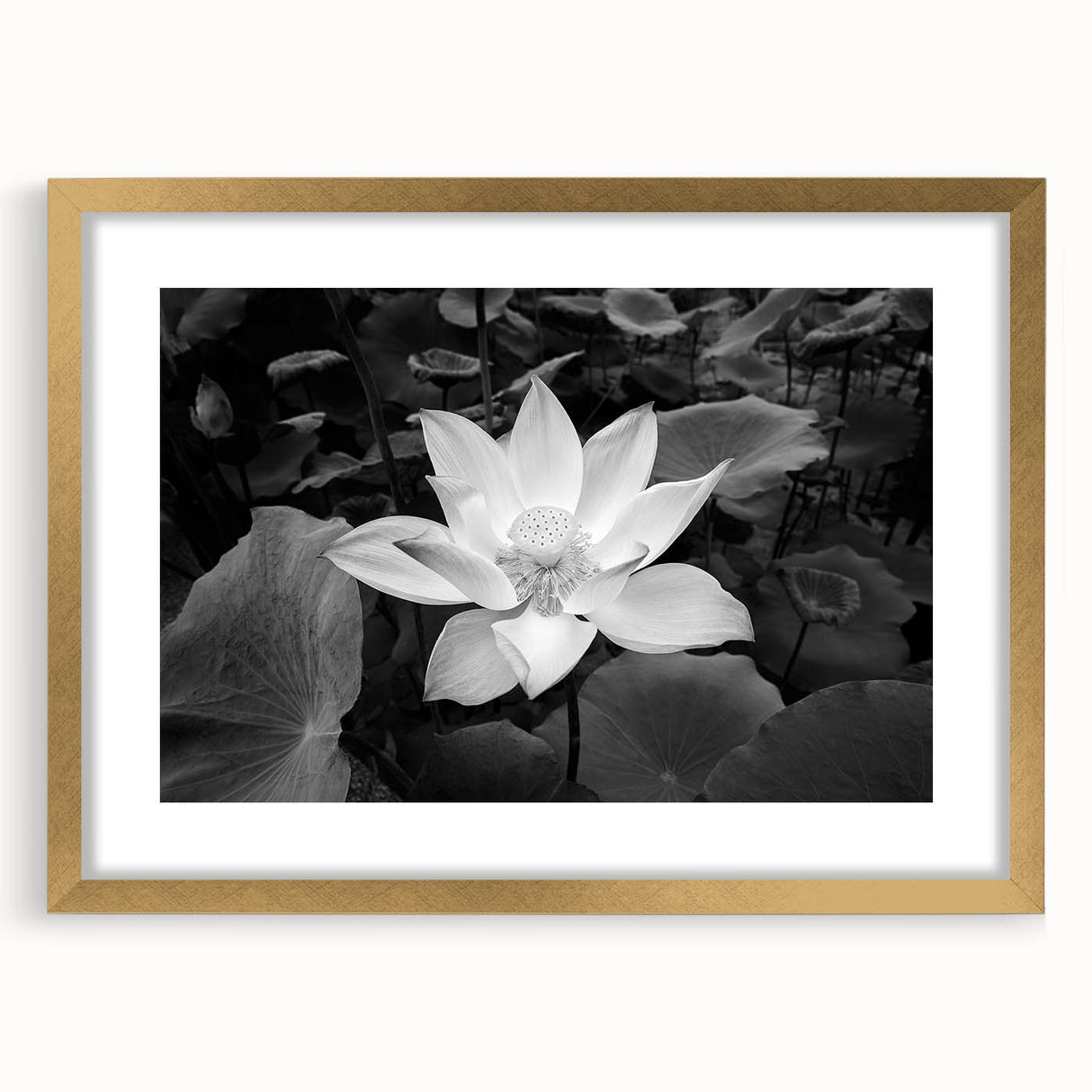 Vibrant floral canvas artwork showcasing a stunning arrangement of colorful flowers against a neutral background, ideal for home decor enhancement.