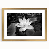 Vibrant floral canvas artwork showcasing a stunning arrangement of colorful flowers against a neutral background, ideal for home decor enhancement.