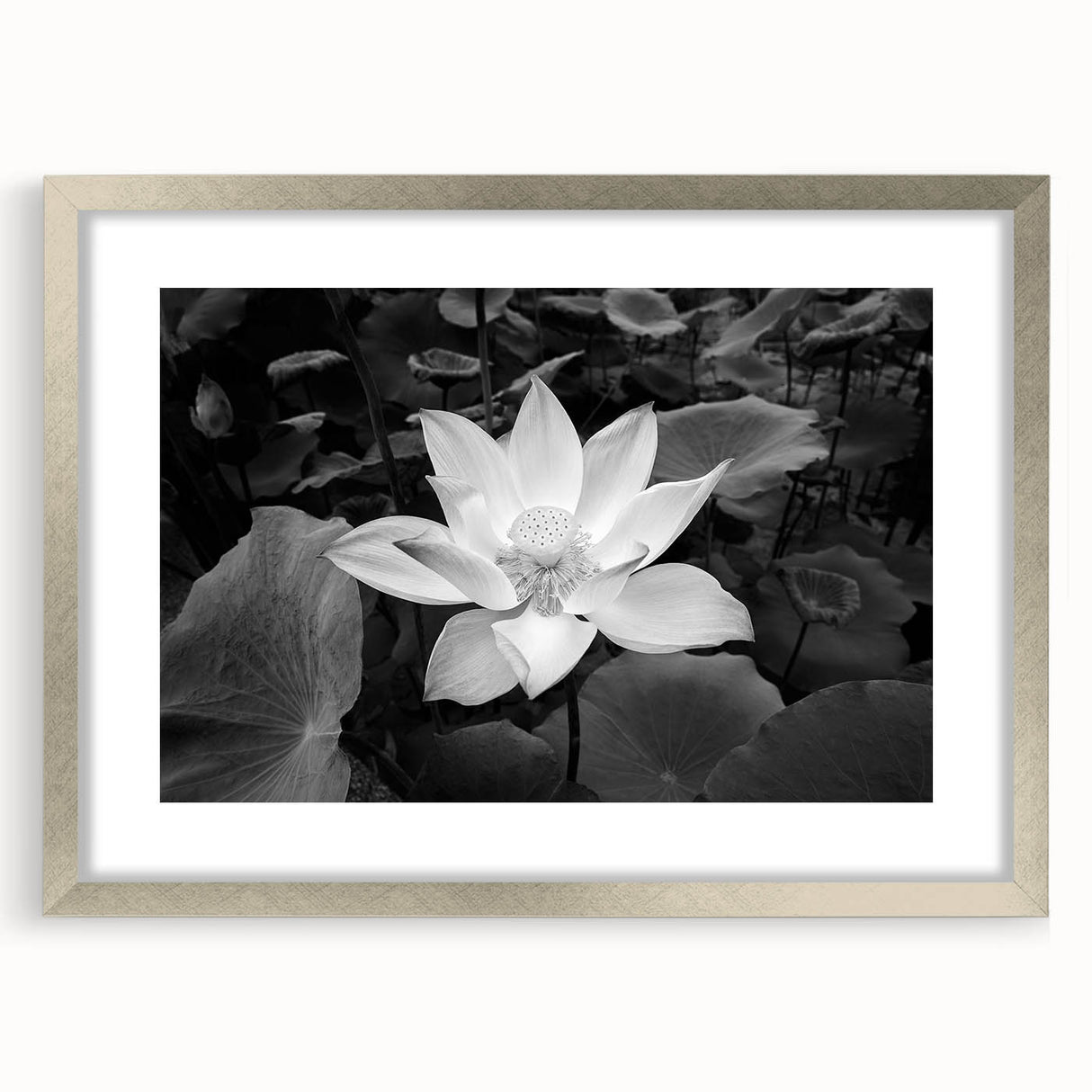 Vibrant floral canvas print showcasing a colorful array of blooms in a whimsical design, ideal for brightening home decor and adding a touch of nature.