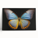 Detailed close-up of a vibrant insect illustration showcasing intricate patterns and vivid colors, perfect for nature enthusiasts and art collectors.