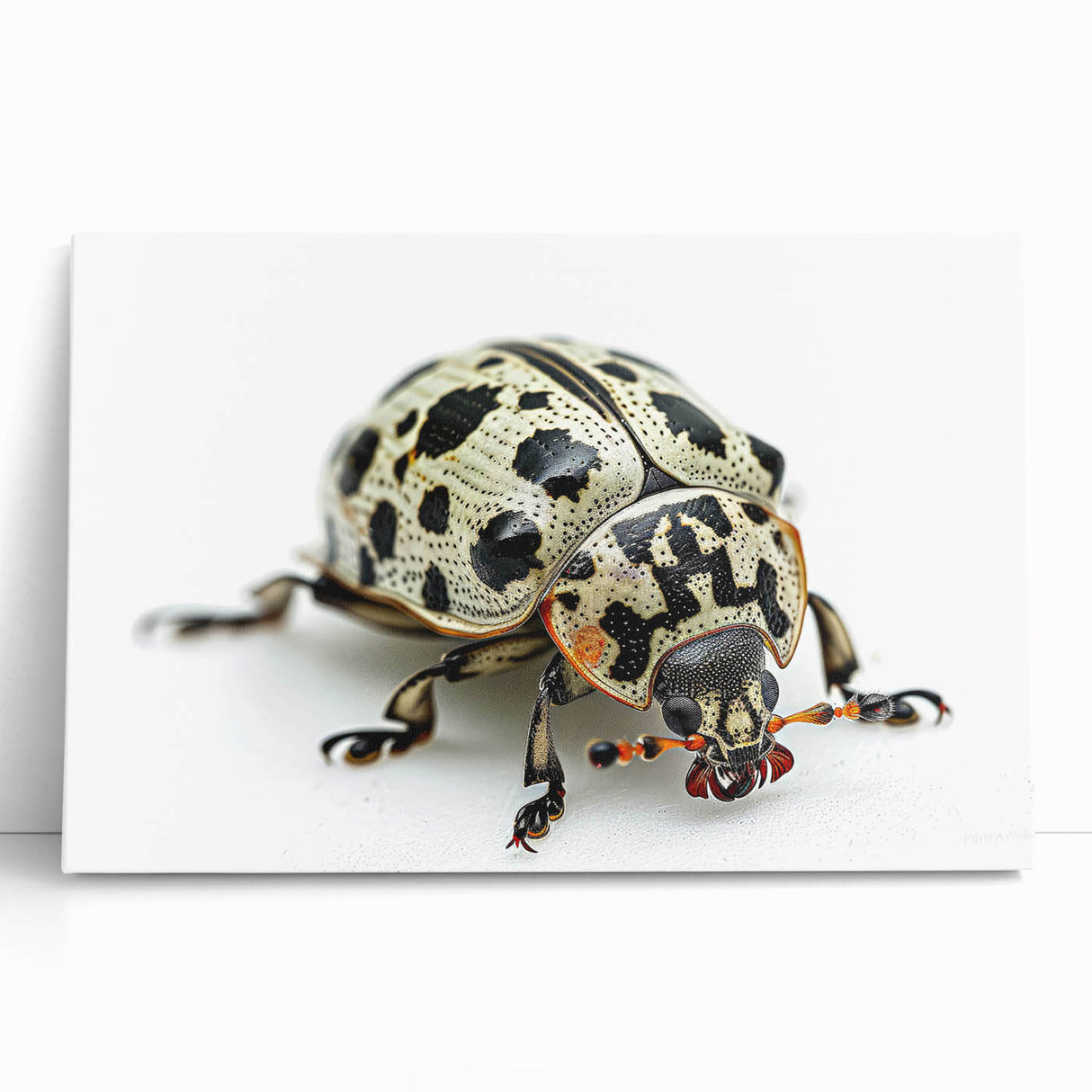 Close-up of a vibrant insect illustration showcasing intricate details and vivid colors, perfect for nature-themed decor or educational purposes.