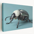 Close-up of a vibrant insect-themed canvas print showcasing intricate details and vivid colors, elegantly rolled and packaged in a protective cardboard tube for wall decoration.