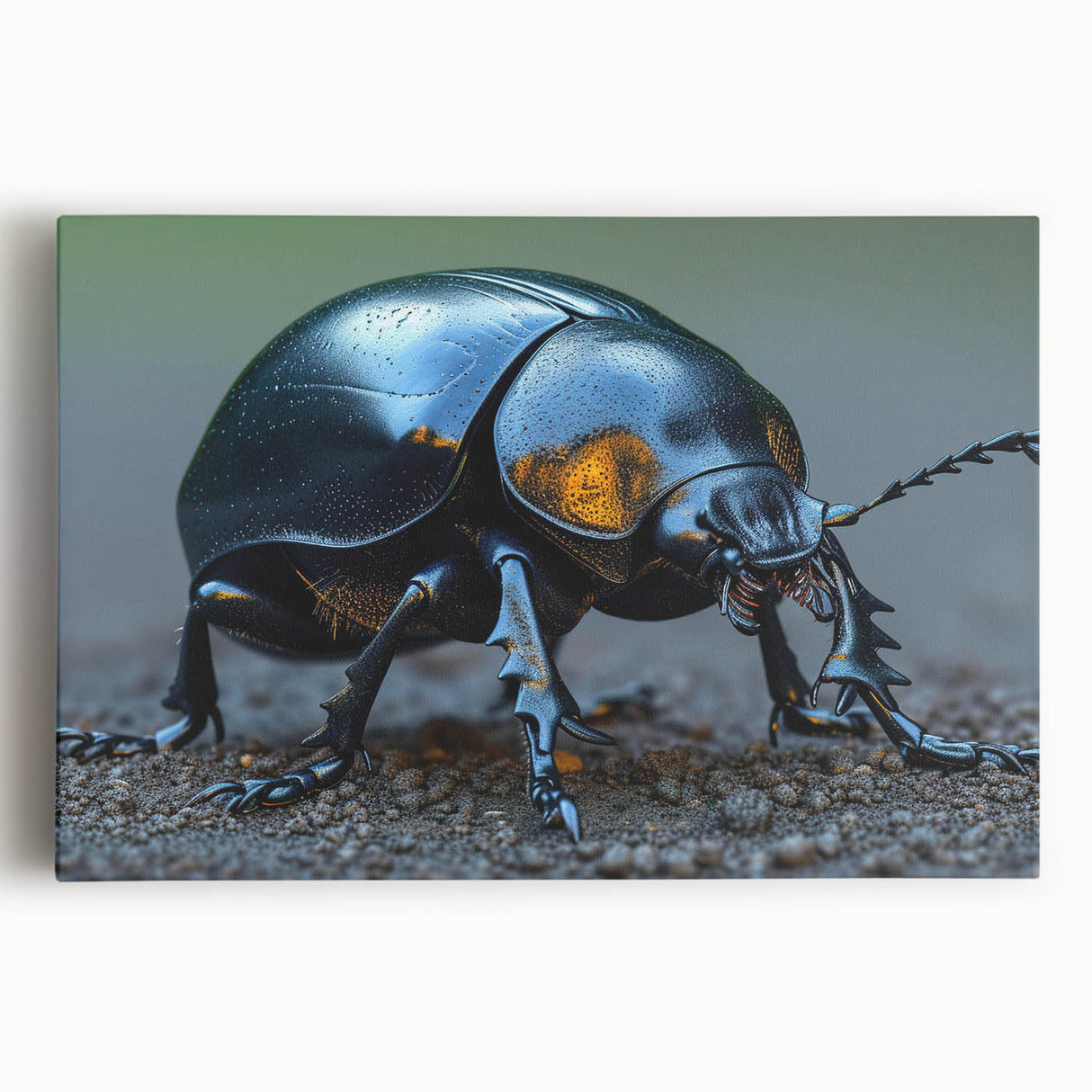Close-up of a vibrant insect illustration showcasing detailed patterns and colors, perfect for nature-themed decor or educational purposes.