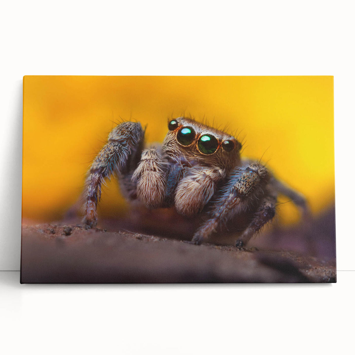 Close-up of a colorful insect illustration showcasing intricate details and vibrant hues, ideal for educational purposes or nature-themed decor.