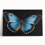 Close-up of a detailed insect illustration showcasing vibrant colors and intricate patterns, ideal for educational materials or nature-themed decor, emphasizing the beauty of entomology.