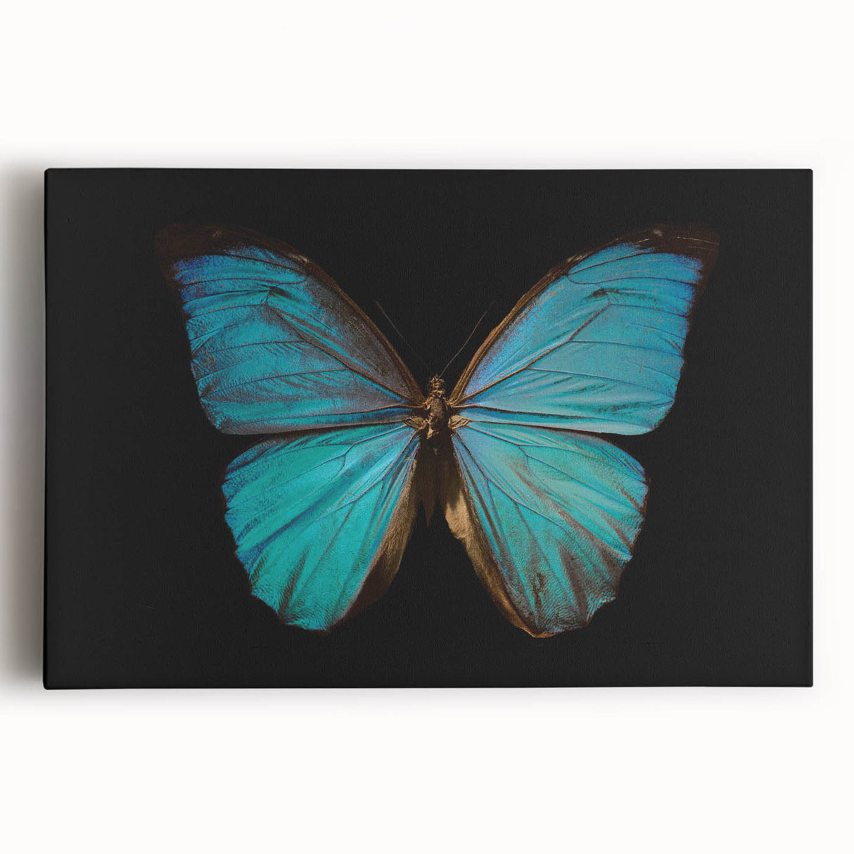 Close-up of a vibrant insect illustration showcasing detailed colors and textures, perfect for nature enthusiasts and art lovers, displayed on a clean white background.