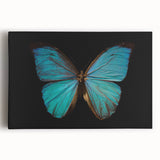 Close-up of a vibrant insect illustration showcasing detailed colors and textures, perfect for nature enthusiasts and art lovers, displayed on a clean white background.