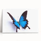 Close-up view of a vibrant insect illustration featuring intricate details and realistic colors, ideal for nature-themed decor or educational use, displayed on a neutral background.