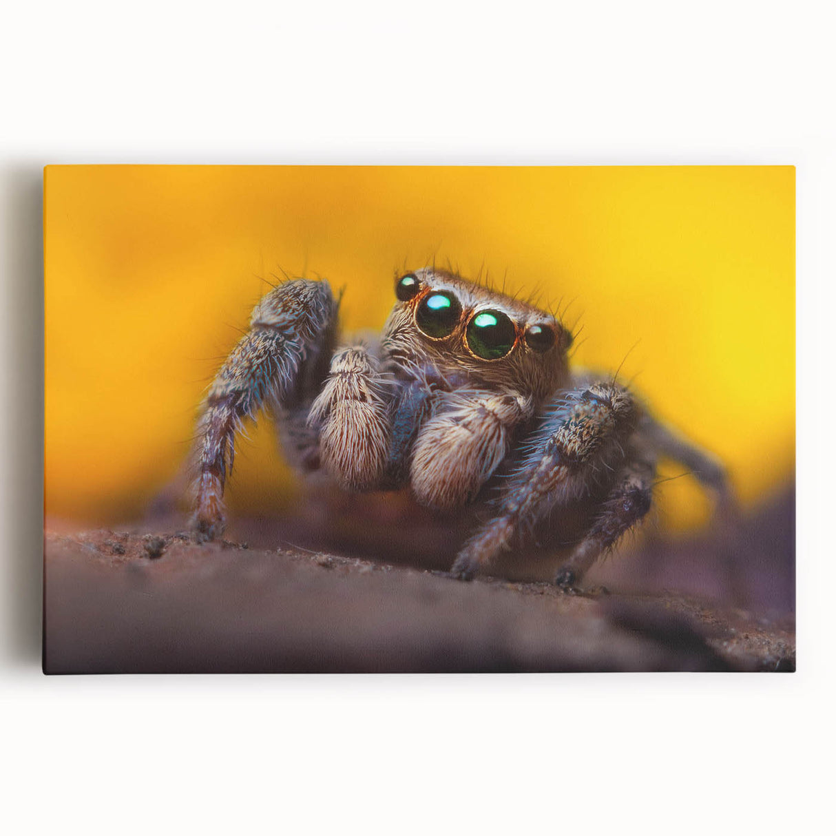 Colorful insect illustration showcasing intricate details and vibrant patterns, ideal for nature-themed decor or educational purposes, presented on a textured background.