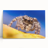 Detailed close-up of a vibrant insect illustration showcasing intricate patterns and colors, perfect for nature enthusiasts and art lovers. Ideal for decor or educational use.