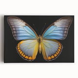 Vibrant close-up of a realistic insect illustration, showcasing intricate details and colors, suitable for educational materials or nature-themed decor.