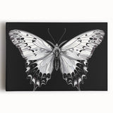 Detailed close-up of a colorful insect illustration showcasing intricate patterns and textures, ideal for educational purposes or nature-themed decor.