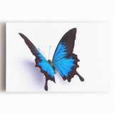 Detailed close-up of a vibrant insect illustration, showcasing intricate details and vivid colors, perfect for nature enthusiasts or educational decor.