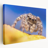 Vibrant close-up of a colorful insect illustration, showcasing intricate details and patterns on its wings, perfect for nature lovers and art enthusiasts.